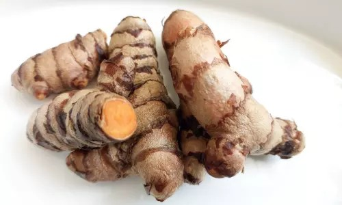 Benefits of Raw Turmeric :- Raw turmeric or tumeric, botanically called "Curcuma longa", is very important in Ayurveda and traditional medicine. It has many health benefits, which you will understand by knowing here.